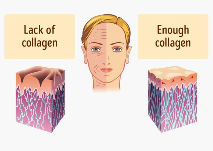 Làn da sẽ trở nên chắc khỏe và sáng mịn hơn nhờ collagen