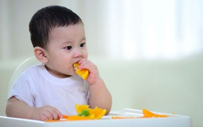 Giai đoạn ăn dặm với nhiều loại thức ăn cứng hơn
