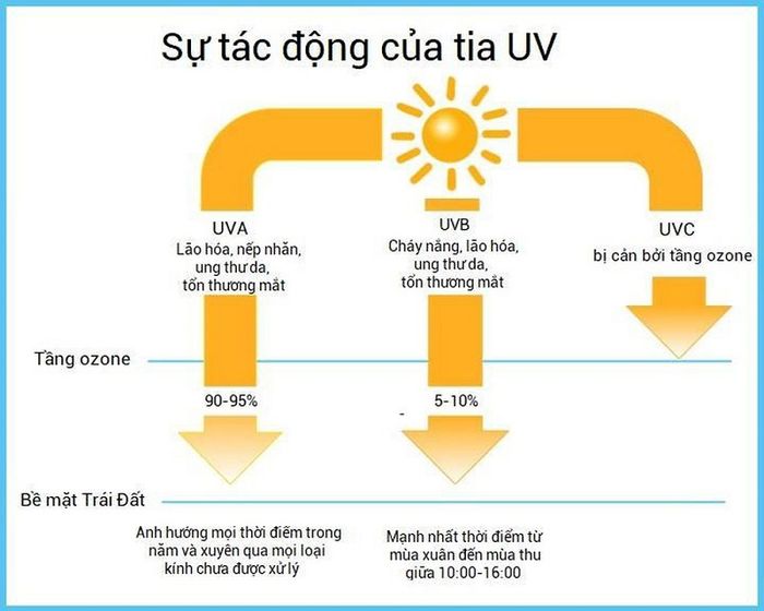 Ảnh hưởng tiêu cực của ánh nắng mặt trời đối với da