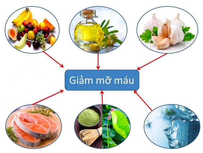 Các thực phẩm phù hợp cho người mắc mỡ máu