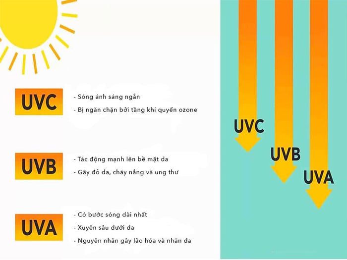 Hậu quả của từng loại tia UV