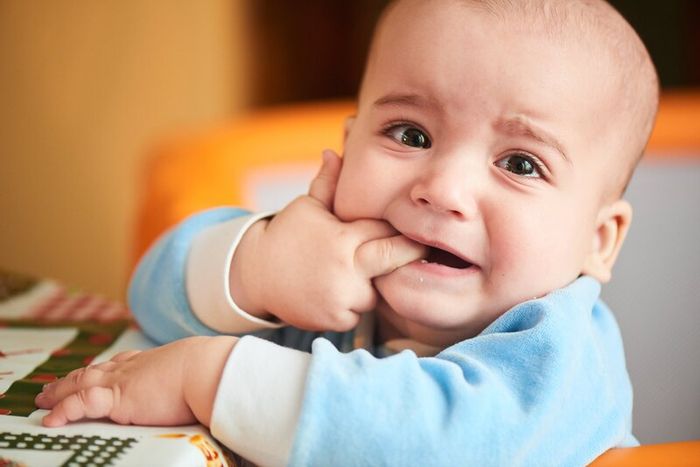 Mọc răng sơ sinh thường được liên kết với yếu tố di truyền