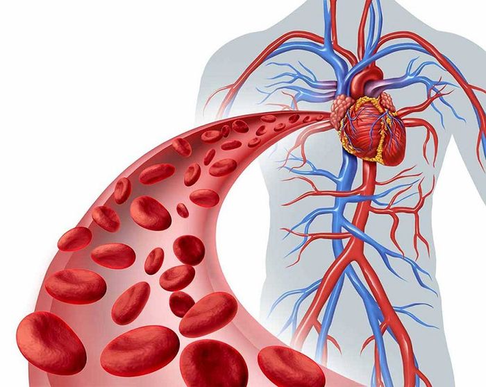 Sự biến đổi không bình thường của các chỉ số mỡ máu gây ra rối loạn chuyển hóa lipid