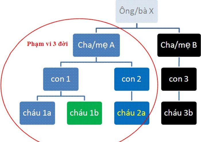 Khi hai người kết hôn và có quan hệ họ hàng trong ba thế hệ trở lại, được gọi là hôn nhân cận huyết.