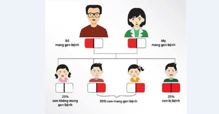 Cần tăng cường tuyên truyền về hiểu biết về tác động của hôn nhân cận huyết để giảm tình trạng kết hôn trong cùng dòng huyết.