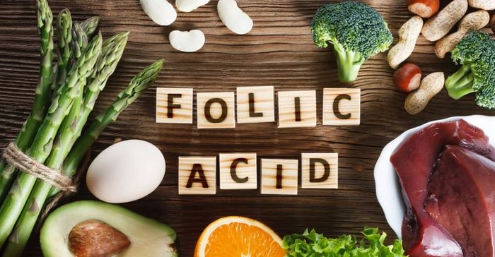 Acid folic đóng vai trò quan trọng trong quá trình sản xuất máu của cơ thể.