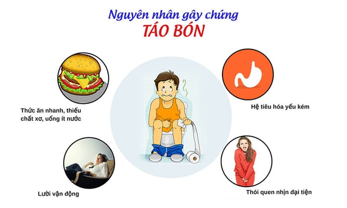 Các nguyên nhân chính gây ra táo bón