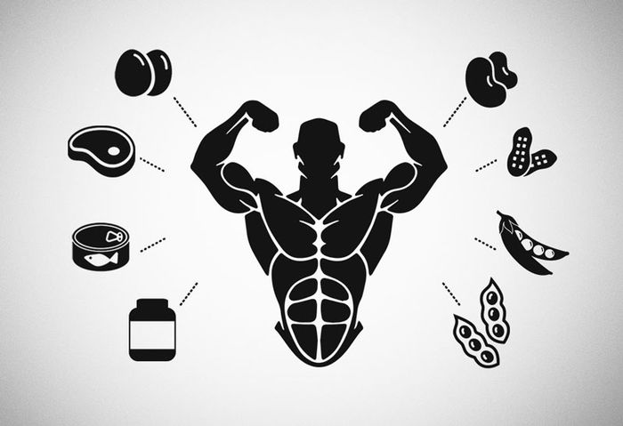 Protein là yếu tố quan trọng nuôi dưỡng và phát triển cơ bắp