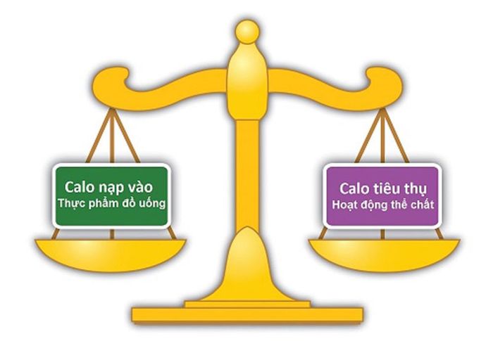 Hoạt động hàng ngày đốt cháy bao nhiêu calo?