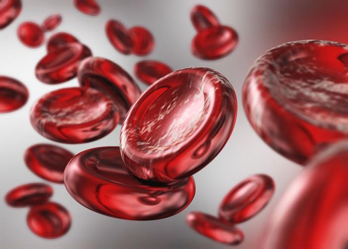 Nguyên nhân chính của thiếu máu là lượng hemoglobin thấp