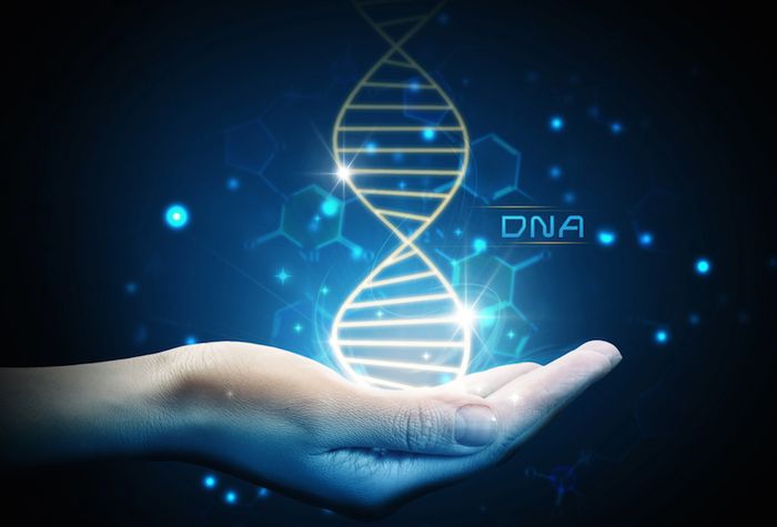 Genes là yếu tố xác định tính di truyền