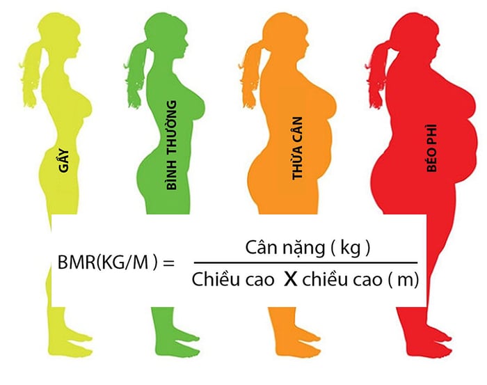 Vóc dáng chuẩn của phụ nữ dựa trên chỉ số BMI.