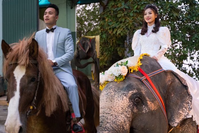 Cuộc đời đầy gian khó của 'cặp đôi vàng' trong nghề xiếc