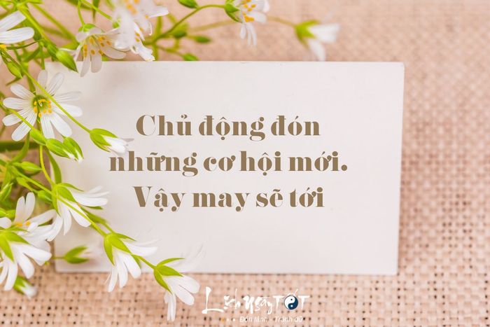 Hãy chào đón những cơ hội