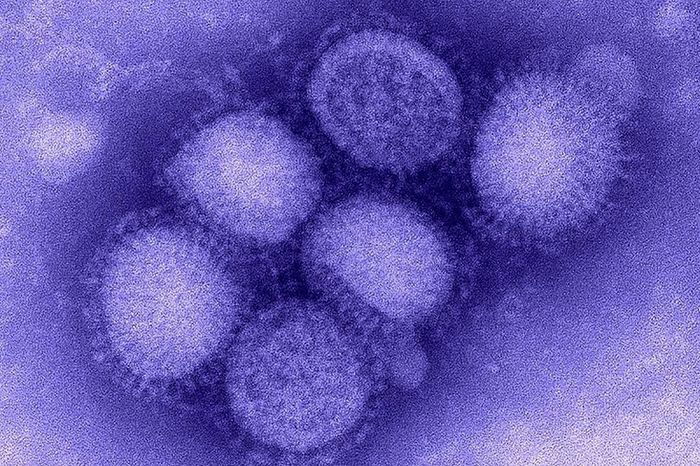 H1N1 chỉ là một trong nhiều loại kháng nguyên của virus cúm A