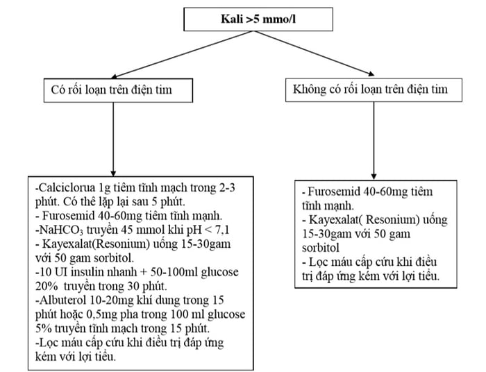 Lược đồ hướng dẫn cách điều trị tăng kali máu