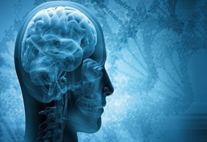 Kiểm tra phản xạ mắt đầu hoặc mắt búp bê là cách đánh giá tình trạng hôn mê và chết não.