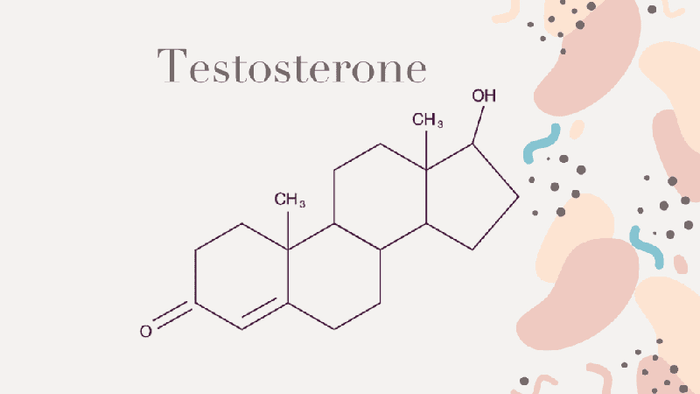 Việc bổ sung Testosterone đóng vai trò quan trọng đối với cơ thể.