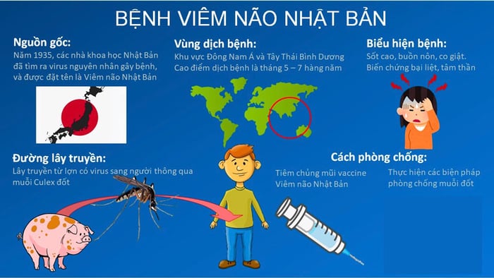 Tổng quan về bệnh viêm não Nhật Bản