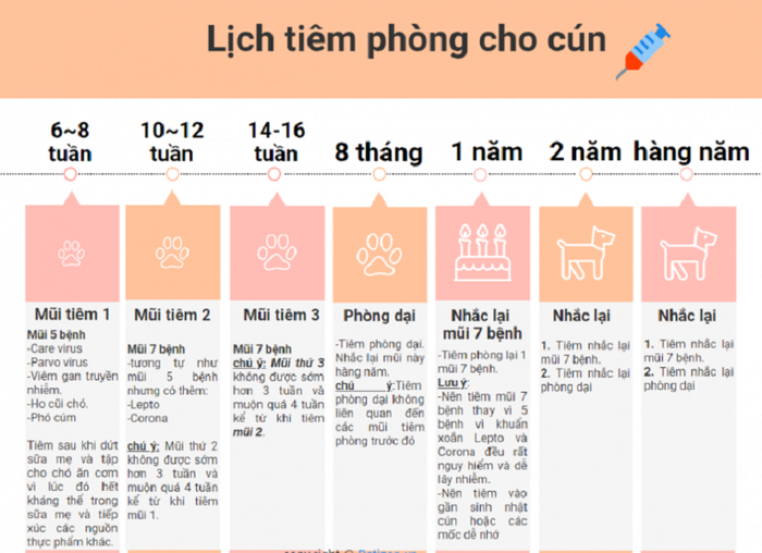 Thông tin đầy đủ về lịch tiêm phòng cho chó