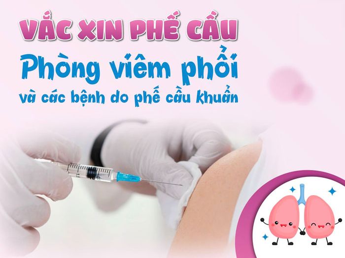 Vắc xin phế cầu giúp phòng tránh nhiều loại bệnh nguy hiểm