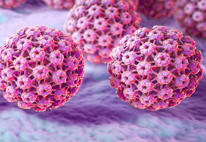 Virus HPV gây ra nhiều bệnh lý nguy hiểm ở người.