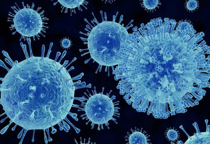 Virus là nguyên nhân chính gây bệnh sốt virus