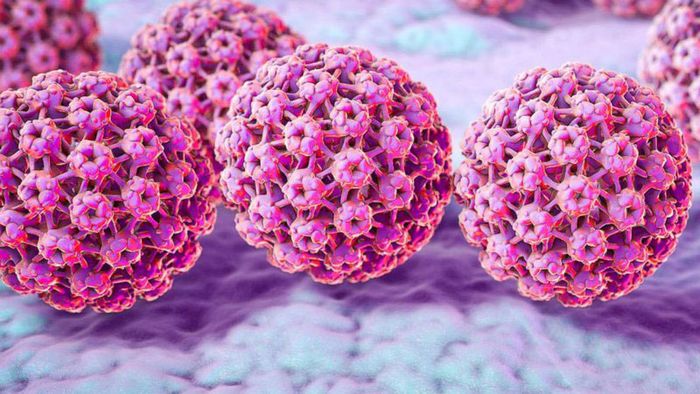 Virus HPV có thể lây nhiễm qua nhiều đường khác nhau.