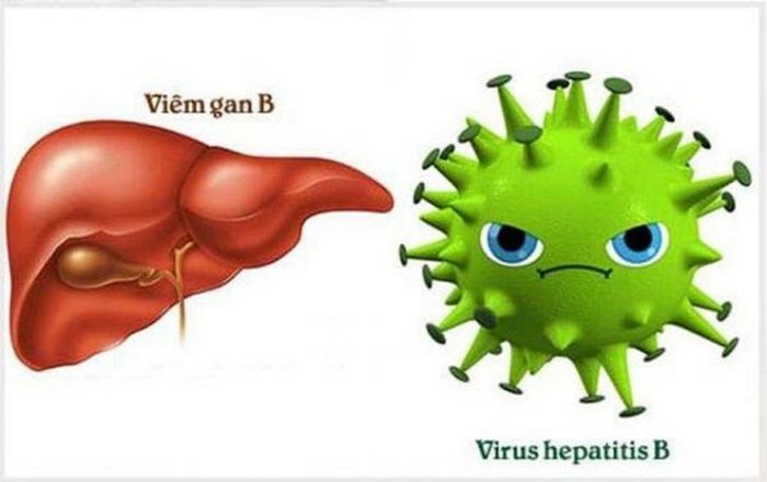 Virus HBV là nguyên nhân gây ra viêm gan B