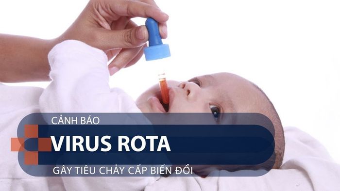 Vắc xin phòng chống bệnh tiêu chảy được cung cấp dưới hình thức vắc xin dịch vụ