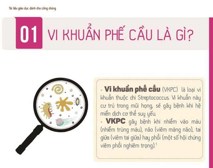 Trẻ có nguy cơ gặp phải nhiều biến chứng nếu không được tiêm chủng phòng bệnh phế cầu