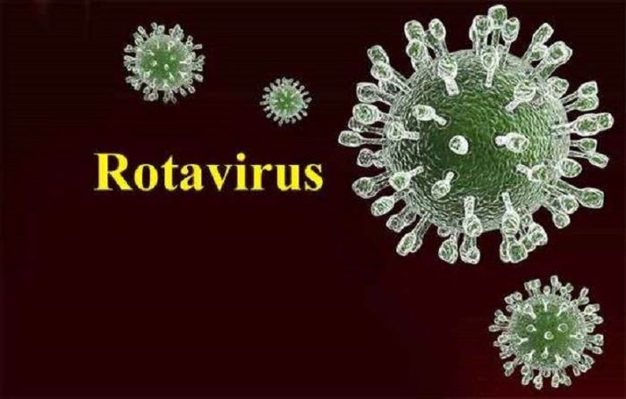 Vắc xin rota ngăn chặn virus rota, gây ra bệnh tiêu chảy cấp ở trẻ nhỏ