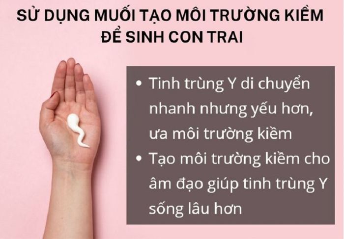 Tạo môi trường kiềm và biết rõ về thời gian sống của tinh trùng Y sẽ tăng khả năng thụ thai bé trai.