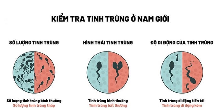 Tinh trùng được hiến cần trải qua quy trình kiểm tra nghiêm ngặt để đảm bảo chất lượng tốt nhất