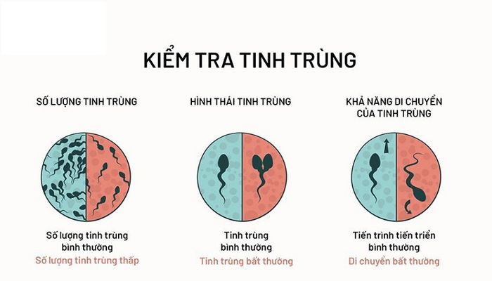 Xét nghiệm tinh trùng là một trong các phương pháp giúp xác định vấn đề về vô sinh nam