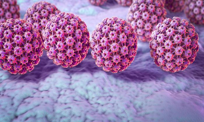 Virus HPV là nguyên nhân gây ra ung thư cổ tử cung.