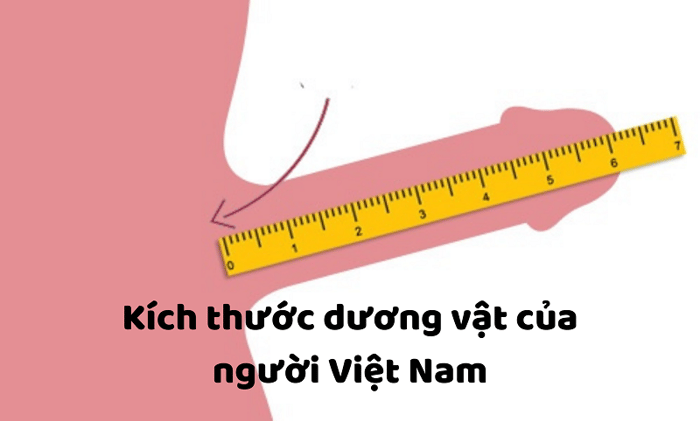 Phương pháp đo chiều dài dương vật