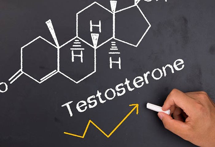 Mức độ testosterone ảnh hưởng đến kích thước của cậu nhỏ