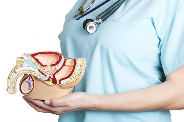 Thực hiện phẫu thuật cắt ống dẫn tinh là biện pháp thứ cấp khi vô sinh ở nam giới xuất hiện.