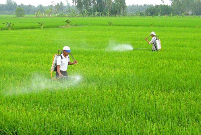 Thường xuyên tiếp xúc với môi trường hóa chất độc hại có thể gây ra vấn đề về chức năng sinh sản