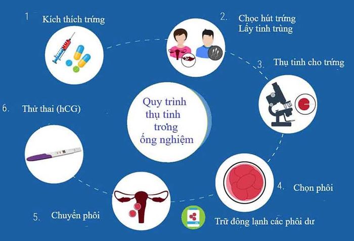 Thụ tinh trong ống nghiệm là phương pháp được nhiều cặp vợ chồng hiếm muộn lựa chọn để có con