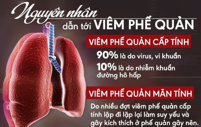 Nguyên nhân phổ biến gây viêm phế quản cấp và mạn tính