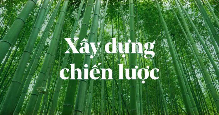 Xây dựng kế hoạch phát triển thương hiệu