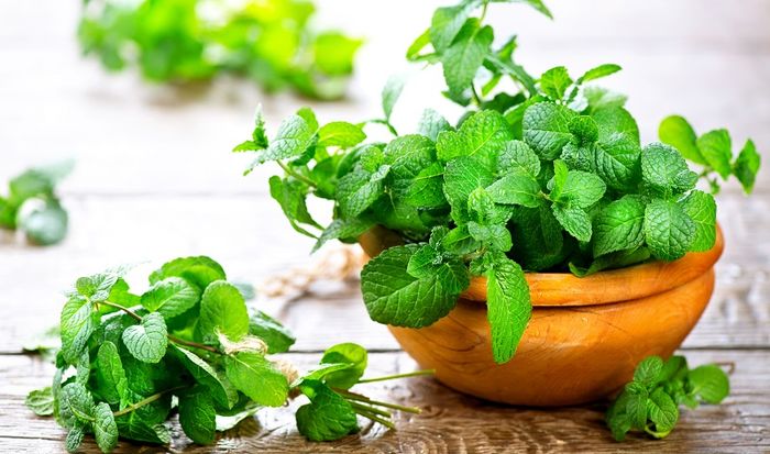 Hương bạc hà, chanh hoặc bưởi