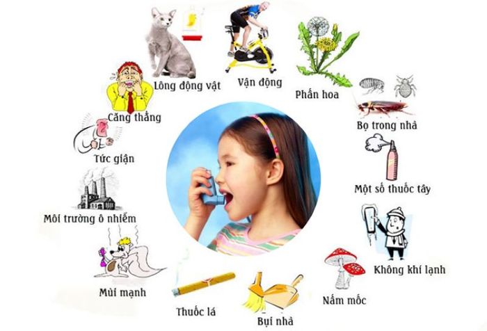 Những Yếu Tố Làm Tăng Khả Năng Xuất Hiện Cơn Hen Suyễn
