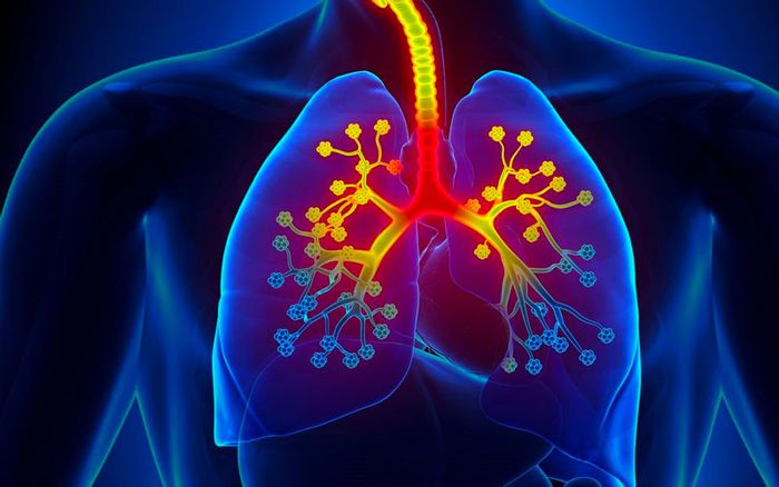 Hô hấp là một hoạt động tự nhiên giúp duy trì sự sống của cơ thể