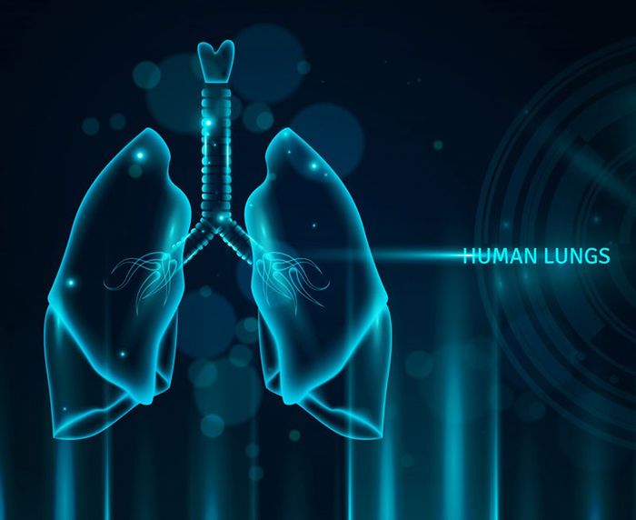 Phổi đóng vai trò thiết yếu trong việc duy trì sự sống của cơ thể