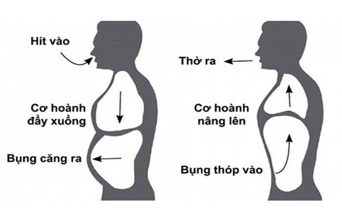 Cách thực hiện hít thở để cải thiện cơ hoành