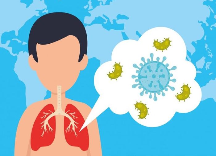 Vi khuẩn tấn công và phát triển ở phổi gây viêm, tổn thương tế bào phổi.