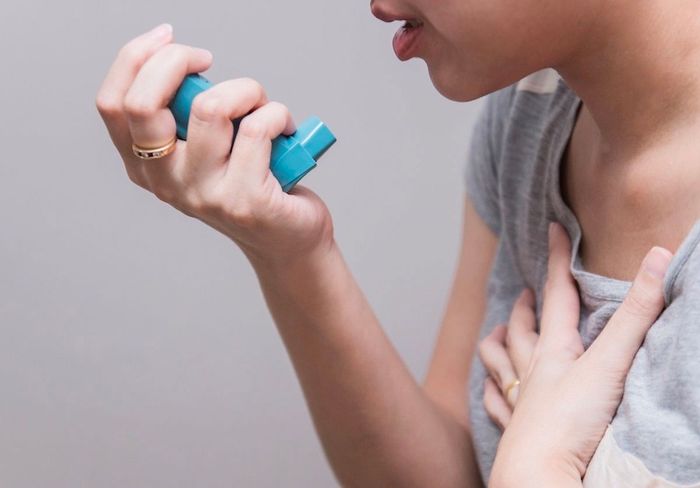 2. Tác nhân gây dị ứng như phấn hoa, nấm mốc, lông động vật, bụi mịn,...